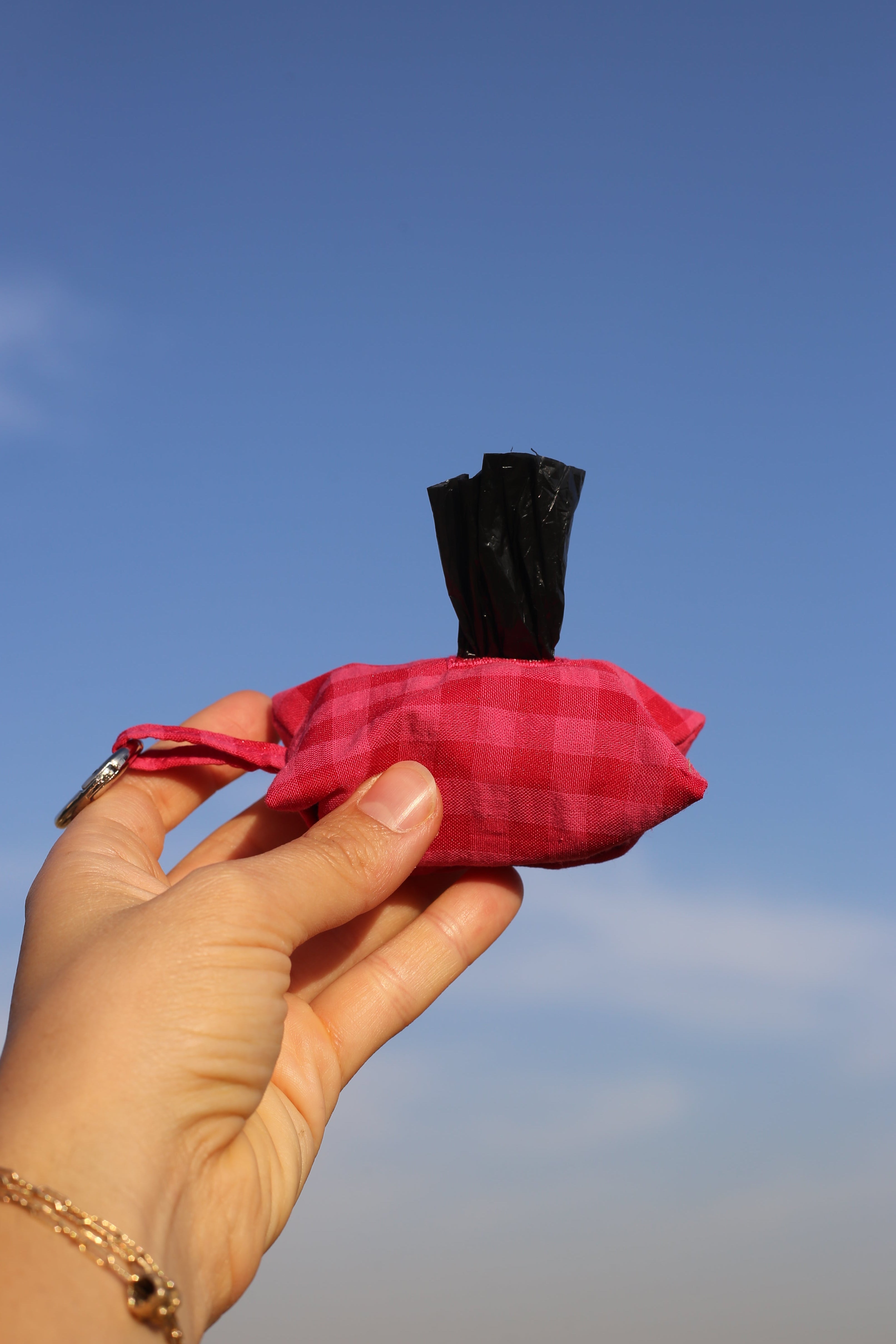 PINK PLAID POO POUCH