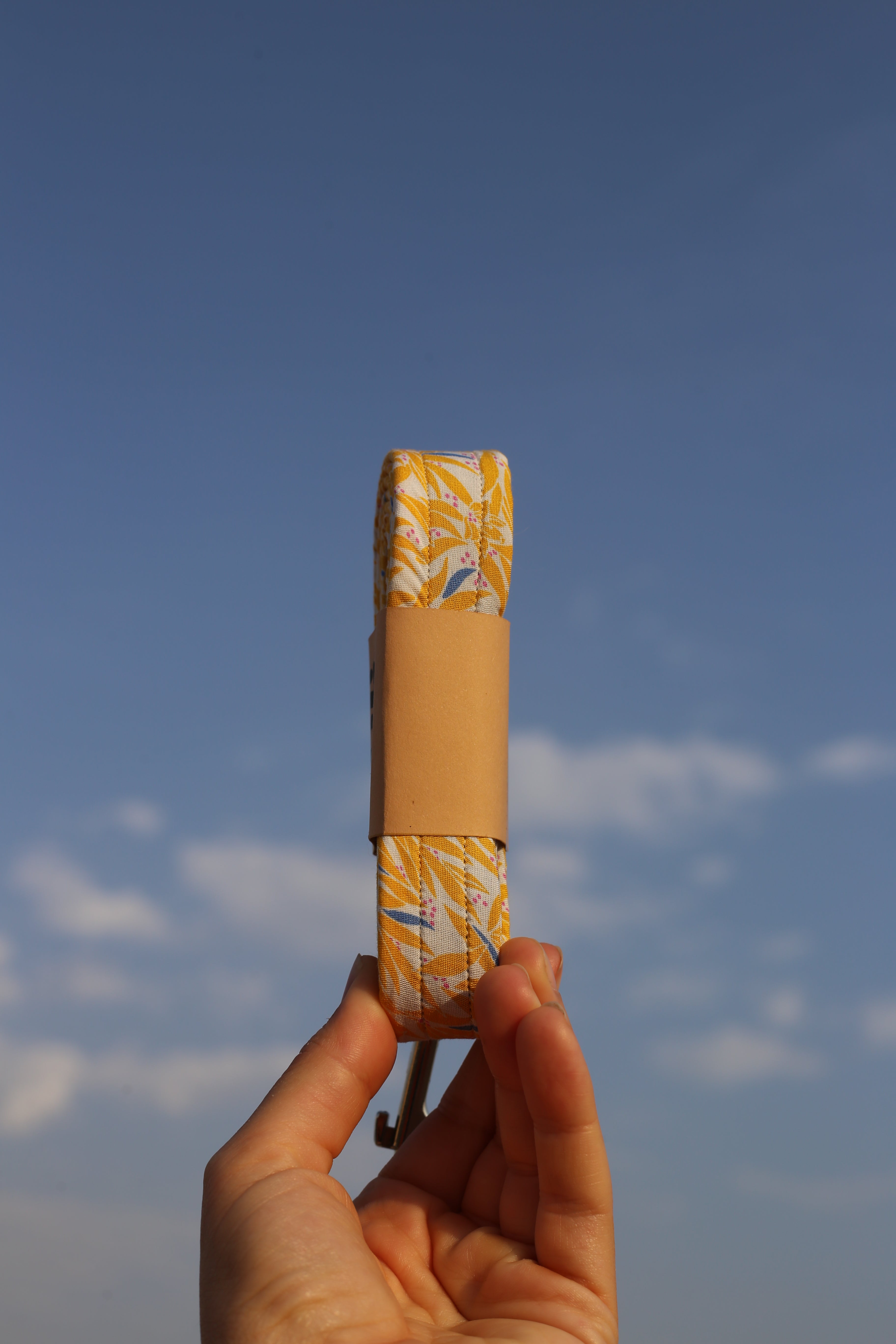 YELLOW LEAVES LEASH