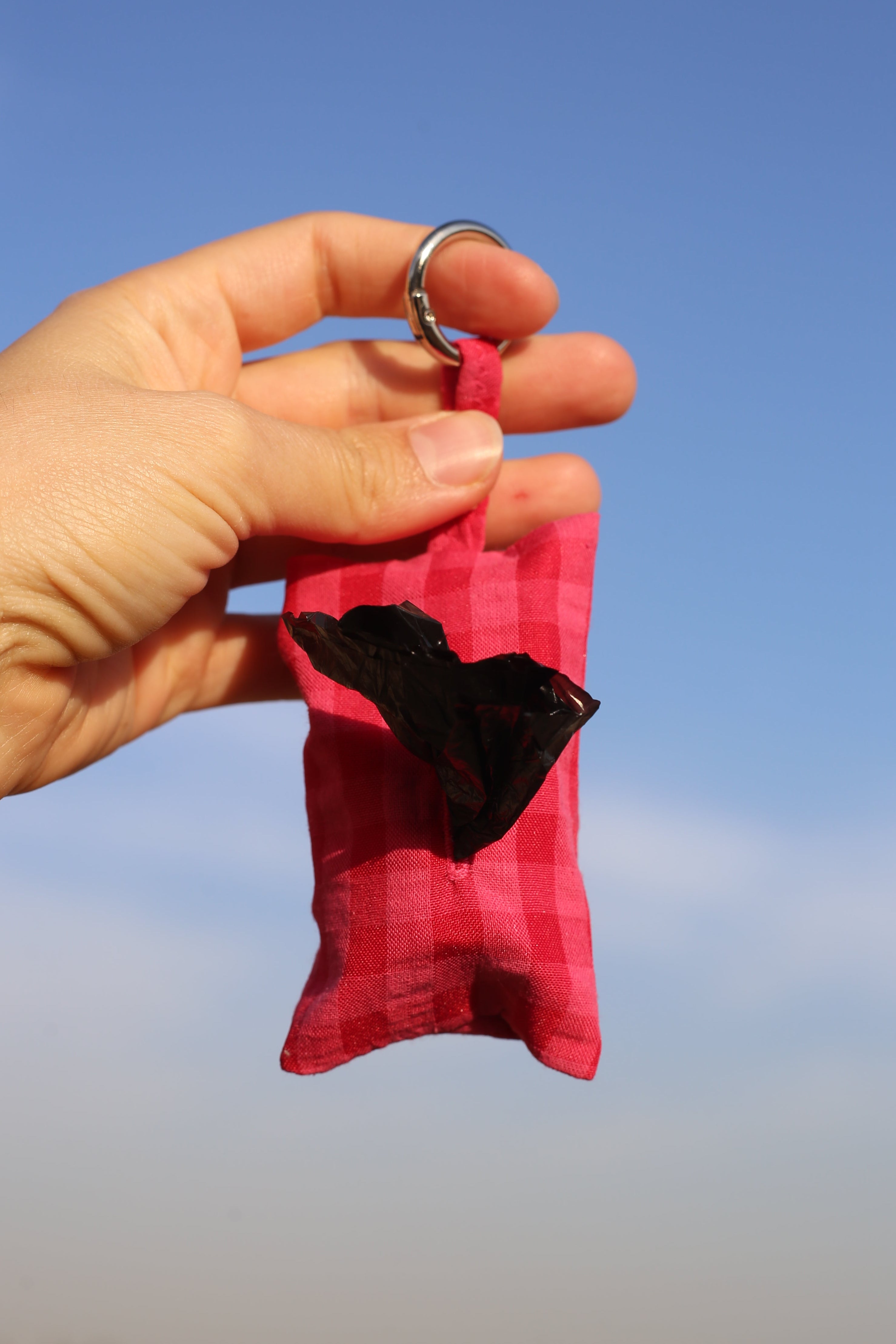 PINK PLAID POO POUCH