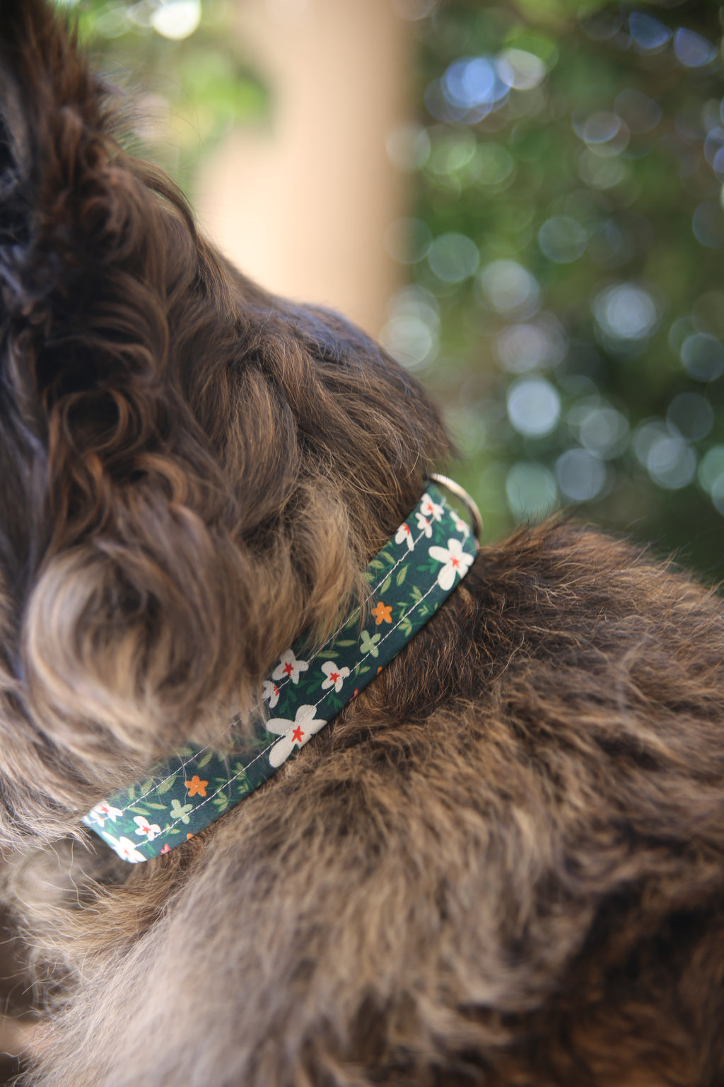 GREEN FOREST COLLAR