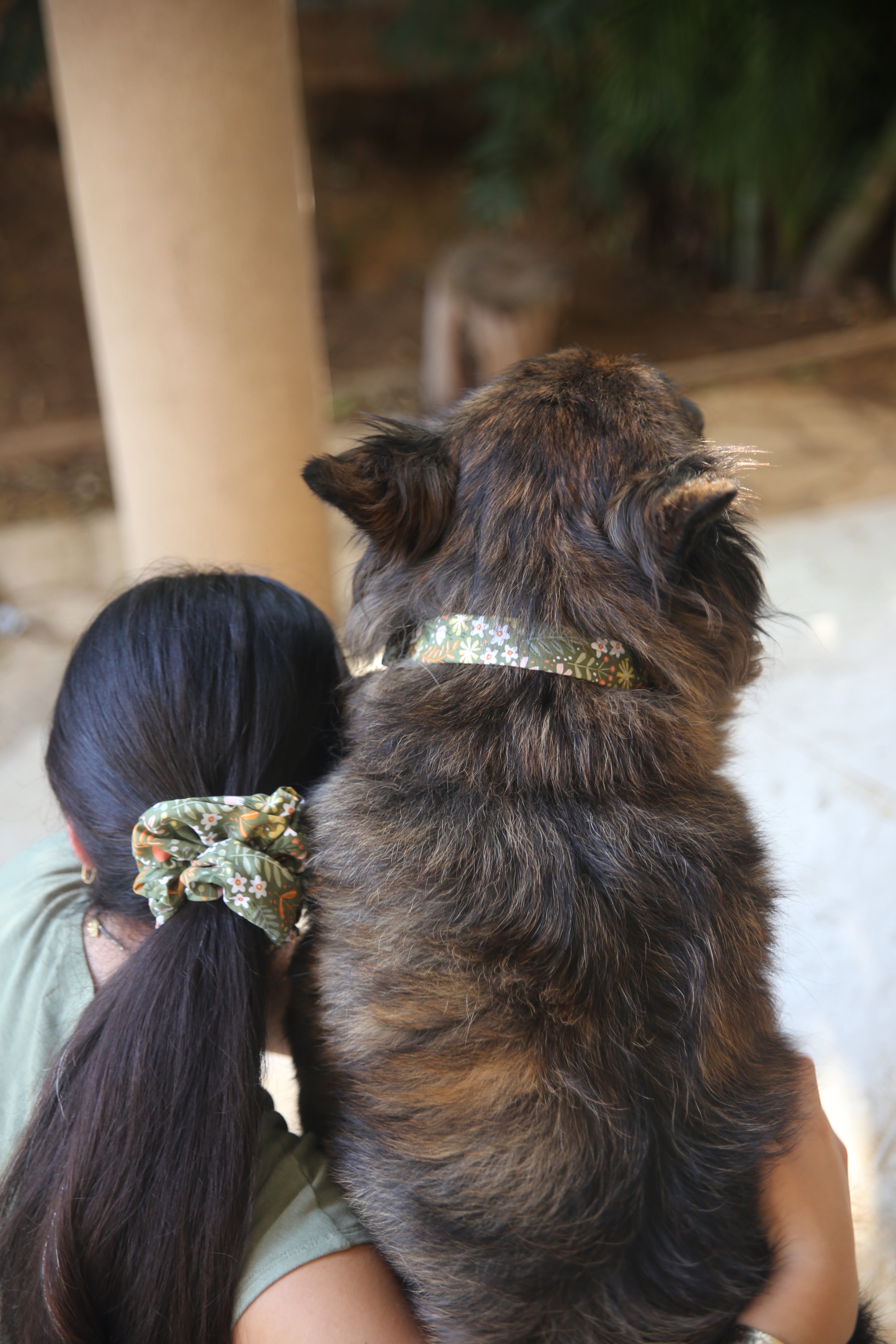OLIVE GREEN FOREST COLLAR